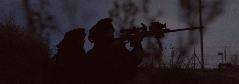 Lion-Animal-Photo-Collage-1 - sales pro